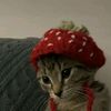 berrykiss___