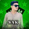 mainkalystars56