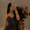 user7041486912934
