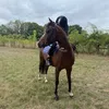 pip79579