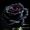 user2199433729765