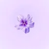 user3157919738810