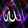 shafienowruz