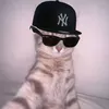 qhuyy263