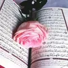 user3312171873029