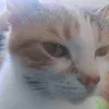 elyanalegorgeu
