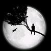 user29320177868846