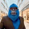 tontonyetitv