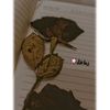 زما غزل🌸