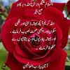 majeed.ahmed194