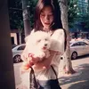 lazylegend_himy