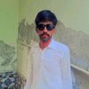 gul13104