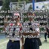 stecu.dap