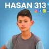 .31334288