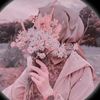 user85608051281