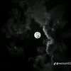 gnn.gnn05