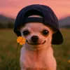 lmsy99_99