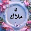 user8688695296031