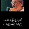 sanaaziz.aziz
