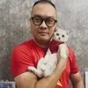 simbadaily2