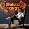 shahzadbacha56