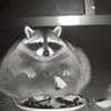 mysecondaccountbcofage