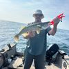 walleyechaser4