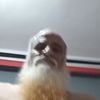 user3994813305728