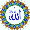 sha.awan29