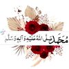 m.ahmad761