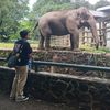 muhammad.akmal8919
