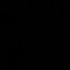 si_ii777