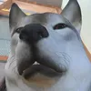 michellx94