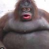 velazquezjose518