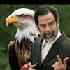 user8706001778524