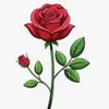 english_rose33