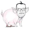 spahnferkel