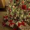 🎄