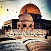 rshed.alnasr