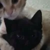 .wiktoriasykaa.ac