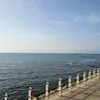 karimaomerani7