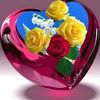sajid.ch767