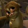 hamsterrr786