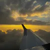 pilot.viewss
