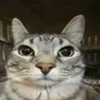 nenen0.nehen0