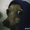 oo_22_ll22