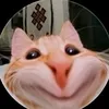 t_tm73