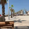 flo.vrt