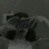ava1394dan
