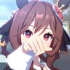 projectdachi